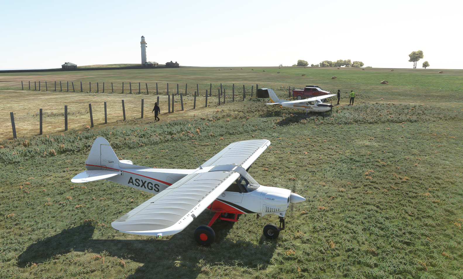 On the ground at Lundy.